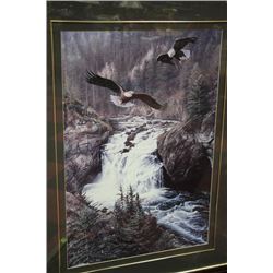 EAGLE PICTURE FRAMED & DOUBLE MATTED 31" X 40"