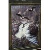Image 1 : EAGLE PICTURE FRAMED & DOUBLE MATTED 31" X 40"