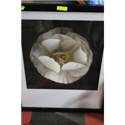 SHOWHOME FRAMED FLOWER PICTURE