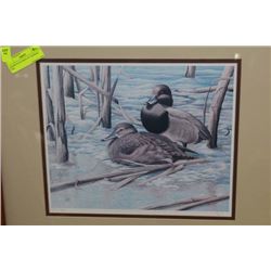 SIGNED DUCK PRINT BY HERBERT PIKL