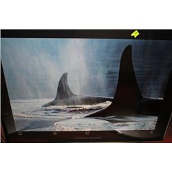 OCEANS BY BOB TALBOT FRAMED PICTURE