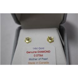 14 KT GOLD DIAMOND (.075 CT) EARRINGS WITH