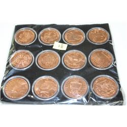 12 COPPER COINS