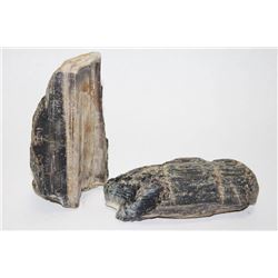 2 PIECE'S OF ANCIENT PETRIFIED WOOD