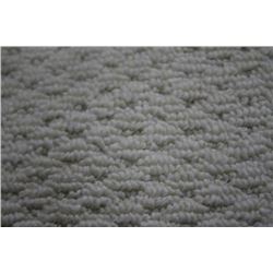 KCS111 30 SQ/YARDS ROLL OF LOW LOOP CARPET