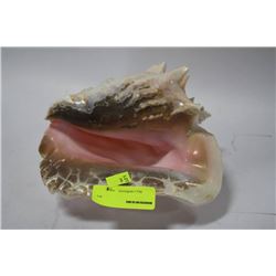 CONCH