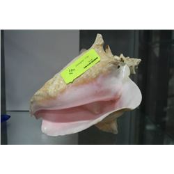 CONCH