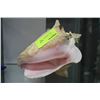 Image 1 : CONCH