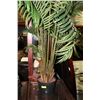 Image 1 : SHOWHOME ARTIFICIAL PLANT