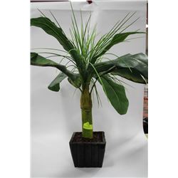 SMALL ART. PLANT IN POT