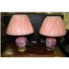Image 1 : 2 PINK FLORAL LAMPS
