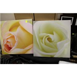TWO CANVAS PICTURES