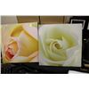 Image 1 : TWO CANVAS PICTURES