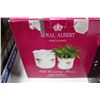 Image 1 : ROYAL ALBERT FLOWER POTS(NEW) 2PCS