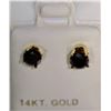 Image 1 : 14K GOLD BLACK DIAMOND(0.96CT) EARRINGS