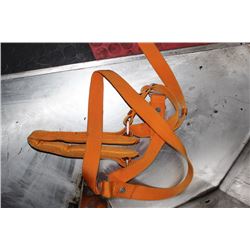 SAFETY HARNESS