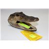 Image 1 : ALLIGATOR HEAD