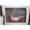Image 1 : FRAMED, DOUBLE MATTED 'TEAL DRAKE' PICTURE