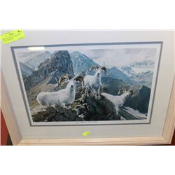 "HIGH TRAILS-DALL SHEEP" BY KAI-LIIS MCINNES