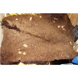 BEAR CARPET