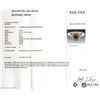 Image 4 : 14KT White Gold EGL USA Certified 1.49 ctw Fancy Brown Diamond Ring