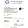 Image 3 : 14KT White Gold 4.90 ctw Black Diamond Ring