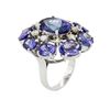 Image 3 : 14KT White Gold 18.66 ctw Tanzanite Diamond Ring