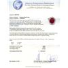 Image 3 : 14KT Yellow Gold 4.88 ctw Ruby and Diamond Ring