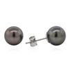 Image 2 : 14KT White Gold Black Pearl Earrings