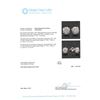 Image 3 : 14KT White Gold 2.87 ctw Diamond Stud Earrings
