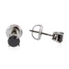 Image 2 : 14KT White Gold 0.50 ctw Black Diamond Earrings