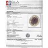 Image 3 : PLATED SILVER 13.61 ctw Ruby and White Sapphire Ring