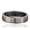 Image 1 : Platinum Band Ring
