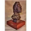 Image 1 : Gary Schildt, Bronze,
