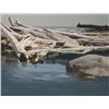 Image 1 : Del Nichols, Oil on Board,