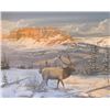 Image 1 : C.M. Tesmer, Oil on Canvas,