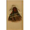 Image 1 : J. Harris and George Catlin, Print,