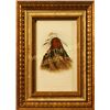 Image 2 : J. Harris and George Catlin, Print,