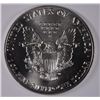 Image 2 : 1989 SILVER AMERICAN EAGLE