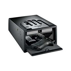 *NEW* GUNVAULT MINIVAULT BIOMTRC 8X5X12