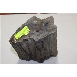 PETRIFIED WOOD
