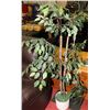 Image 1 : ARTIFICIAL FLOOR TREE - 4' 7" TALL