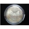 Image 2 : 2000 COLORIZED AMERICAN SILVER EAGLE UNC