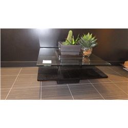 TABLE WITH GLASS TOP AND TWO PLANTS