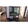Image 1 : LARGE SQUARE AQUARIUM WITH FILTRATION SYSTEM