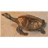 Image 1 : SOLID BRASS TURTLE