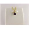 Image 1 : 775-11428:10K yellow gold amethyst pendant