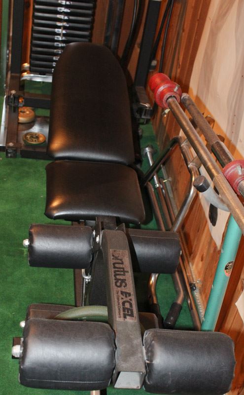 Brutus Excel York 2001 Universal Gym