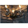 Image 2 : FAUX RAM'S HORN THREE LIGHT HANGING LIGHT FIXTURE