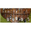 Image 4 : SOUVENIR SPOONS ON WOODEN SHIELD  DISPLAY